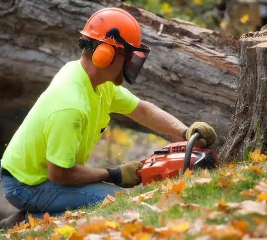 tree services St. Stephen